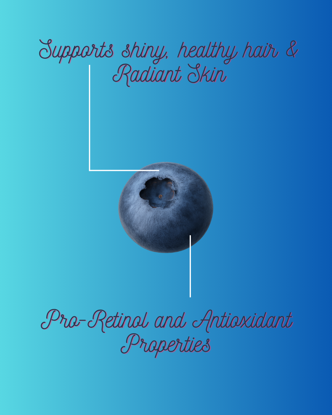 Hair & Skin Gummies with Blueberries